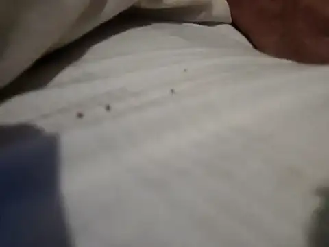 Snapshot of jjLARAY chatting on February 15, 2026, 10:36 am jjLARAY online show from February 15, 2026, 10:36 am