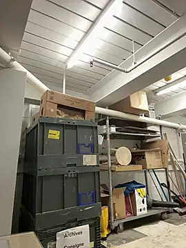 Snapshot of AlexGogo23 chatting on February 12, 2026, 11:54 am AlexGogo23 online show from February 12, 2026, 11:54 am