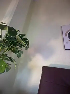 NovaFoxx online show from February 15, 2026, 1:54 pm