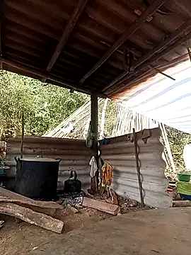 -Kem-01 online show from February 26, 2026, 5:18 am