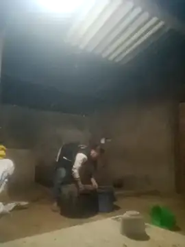 Myzak- online show from October 26, 2025, 11:05 pm