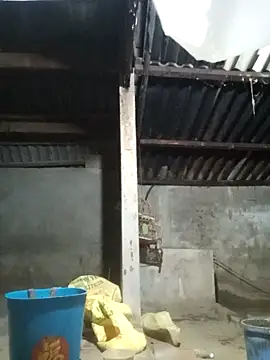 Myzak- online show from November 22, 2025, 11:09 am