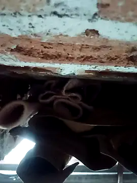 Snapshot of Rajni_chauhan chatting on February 1, 2026, 4:27 pm Rajni chauhan online show from February 1, 2026, 4:27 pm