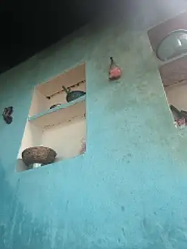 Snapshot of Ragni_bhargav chatting on December 1, 2025, 4:57 am Ragni bhargav online show from December 1, 2025, 4:57 am