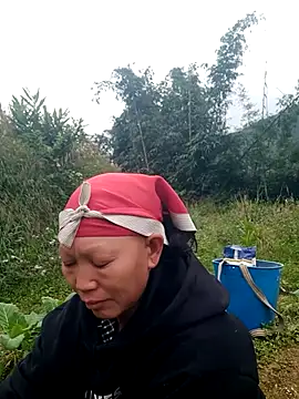 nui-show online show from November 22, 2025, 6:01 am