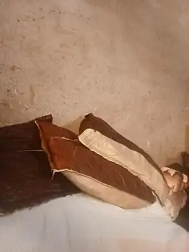 Bretbooty23 online show from November 24, 2025, 9:31 am