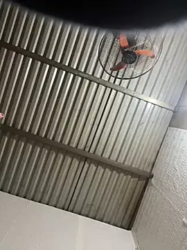 Snapshot of tabby-cat11 chatting on February 3, 2026, 8:30 am tabby-cat11 online show from February 3, 2026, 8:30 am