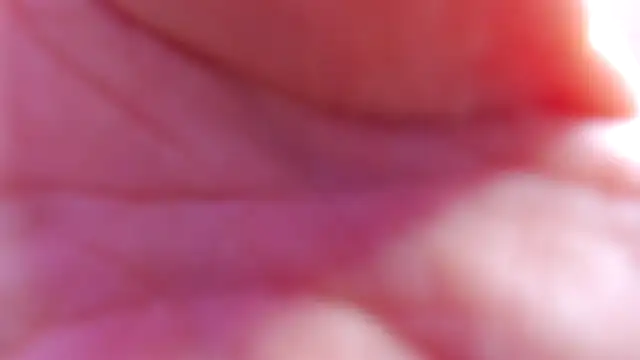 valentina clk online show from October 20, 2025, 1:22 pm