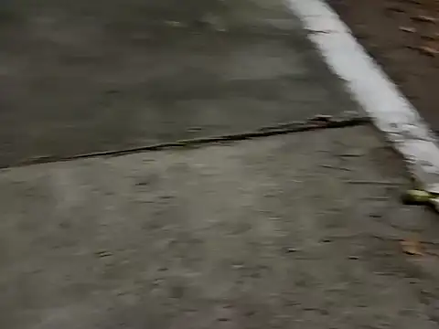 roludao fun online show from December 4, 2025, 10:09 pm