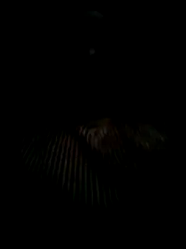 siro-zz online show from November 5, 2025, 10:57 pm