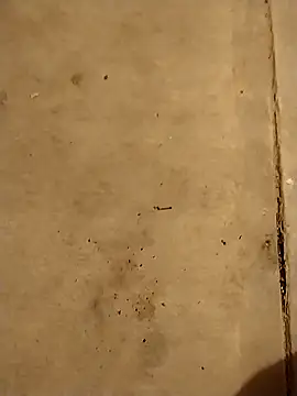 Travieso 21 online show from October 23, 2025, 7:40 am