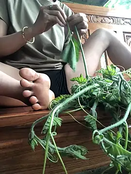 Kylie beem online show from April 25, 2026, 8:39 am