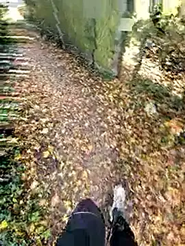 Snapshot of bbyxklaus chatting on November 2, 2025, 12:21 pm bbyxklaus online show from November 2, 2025, 12:21 pm