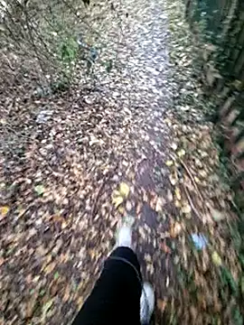 Snapshot of bbyxklaus chatting on November 6, 2025, 12:31 pm bbyxklaus online show from November 6, 2025, 12:31 pm