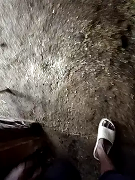 Snapshot of Saddam2332 chatting on October 31, 2025, 3:36 am Saddam2332 online show from October 31, 2025, 3:36 am