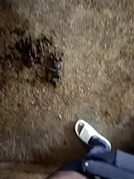 Snapshot of Saddam2332 chatting on November 5, 2025, 2:58 am Saddam2332 online show from November 5, 2025, 2:58 am