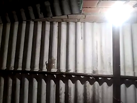 Snapshot of AfroditaSweet@xh chatting on January 10, 2026, 10:32 am AfroditaSweetxh online show from January 10, 2026, 10:32 am