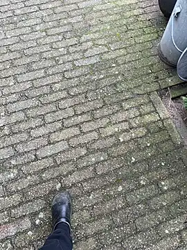 bart98geil online show from March 10, 2026, 11:36 am