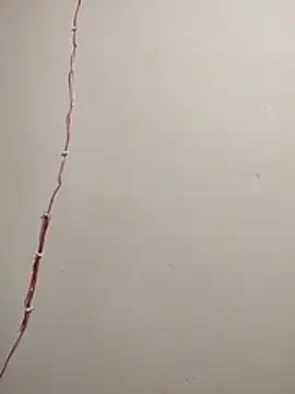 cutepussy356 online show from December 5, 2025, 11:09 am