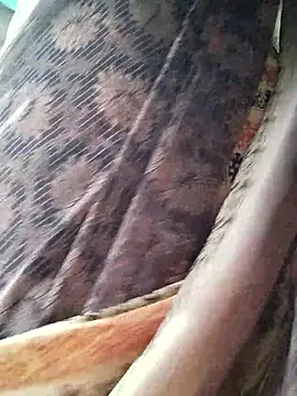 Ankitahot1993 online show from January 12, 2026, 1:56 am