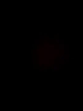 MFUE2020 online show from November 12, 2025, 11:58 am