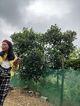 Irin jo online show from February 10, 2026, 3:16 am