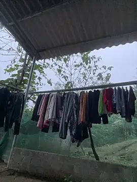 Irin jo online show from March 11, 2026, 11:21 pm