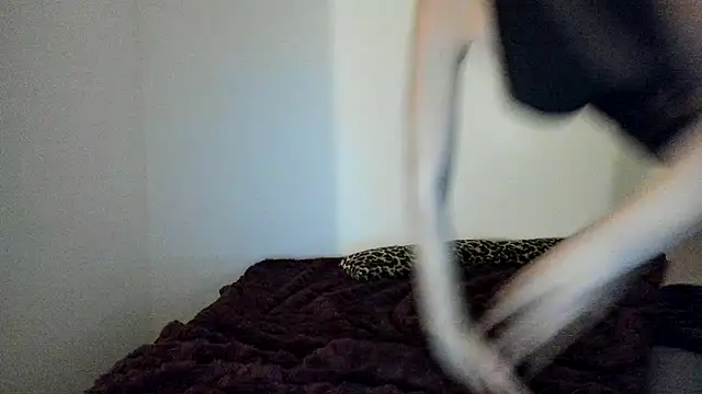 Snapshot of Blueskynicci chatting on November 18, 2025, 4:54 pm Blueskynicci online show from November 18, 2025, 4:54 pm