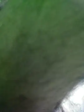 Morbosnif online show from January 6, 2026, 9:30 pm