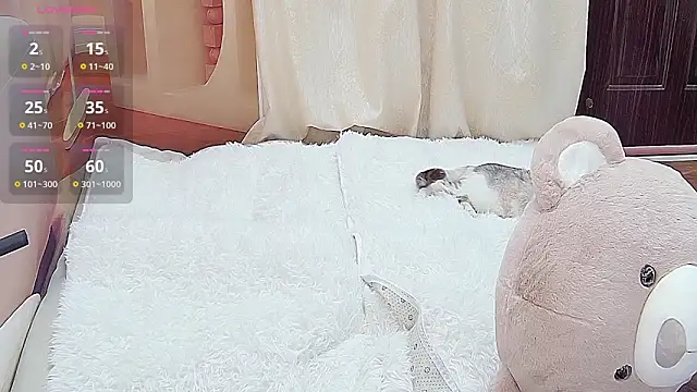 Dinan-y online show from January 13, 2026, 1:37 pm