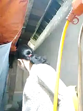 Snapshot of TRIEUTRIEU20 chatting on October 28, 2025, 1:39 am TRIEUTRIEU20 online show from October 28, 2025, 1:39 am