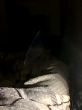 Snapshot of bfelipedasilva chatting on October 23, 2025, 11:58 pm bfelipedasilva online show from October 23, 2025, 11:58 pm