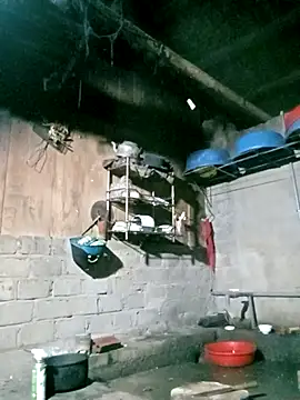 Noelle-e online show from March 20, 2026, 11:17 pm