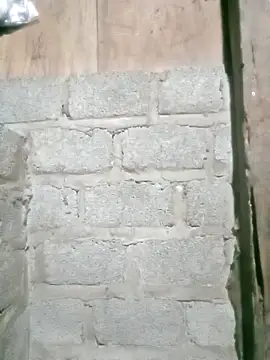 Noelle-e online show from April 12, 2026, 12:08 pm