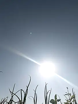 devil boy 0909 online show from March 5, 2026, 3:47 am