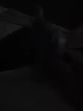 Tincho1051 online show from December 5, 2025, 11:42 am