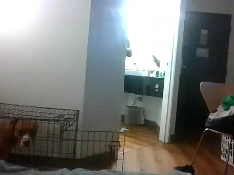 TheRealKnottiHead online show from October 27, 2025, 11:22 am