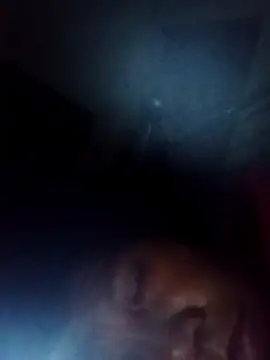 Snapshot of bella-la chatting on November 22, 2025, 11:03 pm bella-la online show from November 22, 2025, 11:03 pm