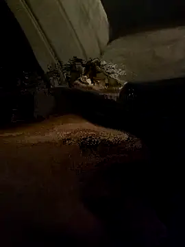 centro6891 online show from October 31, 2025, 11:22 pm