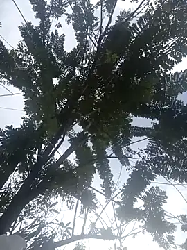 Snapshot of Camila-Valverde chatting on January 31, 2026, 8:51 pm Camila-Valverde online show from January 31, 2026, 8:51 pm