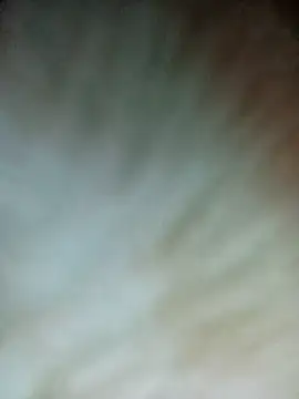 Snapshot of Nul-chal chatting on February 26, 2026, 6:19 pm Nul-chal online show from February 26, 2026, 6:19 pm