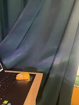 trinhvutrinh online show from April 12, 2026, 4:16 am