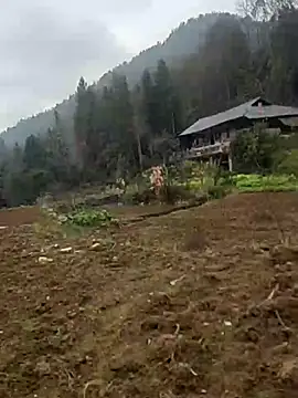 Snapshot of tian7788 chatting on February 17, 2026, 2:53 am tian7788 online show from February 17, 2026, 2:53 am