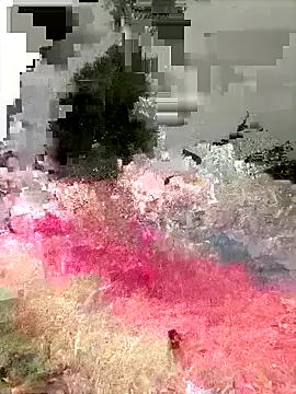 Ckinetor online show from December 20, 2025, 3:15 pm