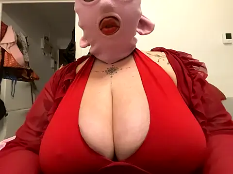 Shy piggyy online show from November 6, 2025, 9:41 pm