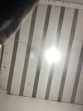 Pirocao 777 online show from April 4, 2026, 3:13 am