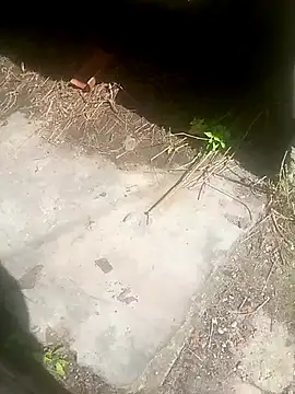 Narwindruners online show from November 3, 2025, 6:55 pm