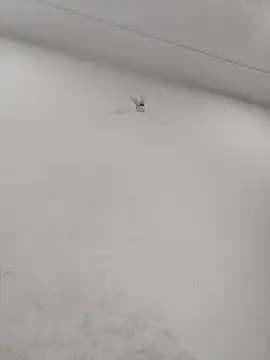 Radhaji88 online show from January 14, 2026, 6:55 pm