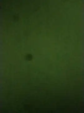 sexychd online show from December 14, 2025, 4:51 am