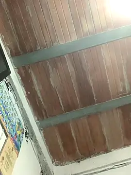 Megan2026 online show from November 26, 2025, 2:55 am